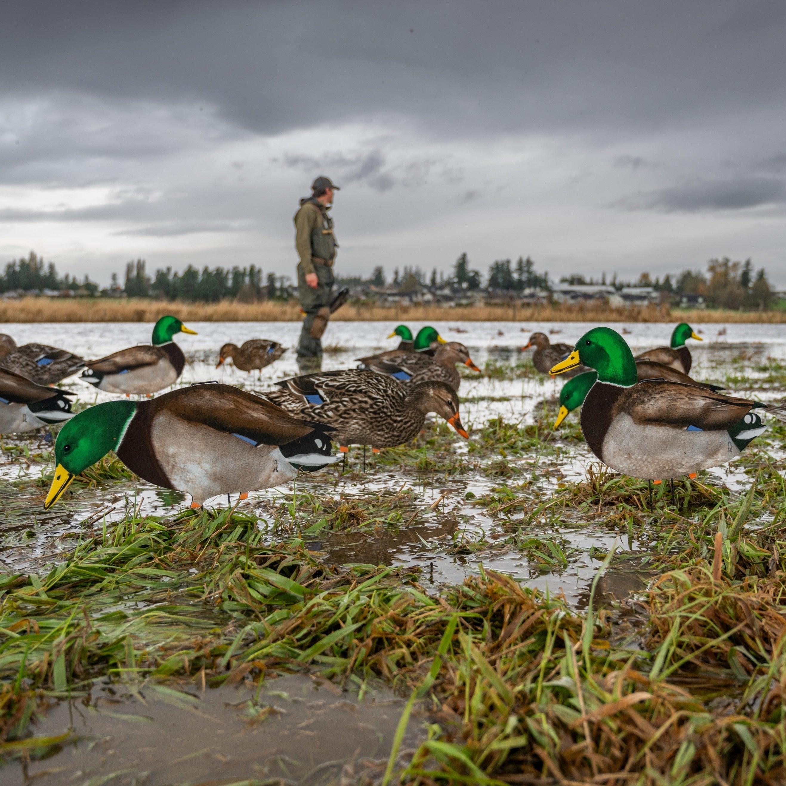 Fully Flocked Mallard Silhouettes silhouettes