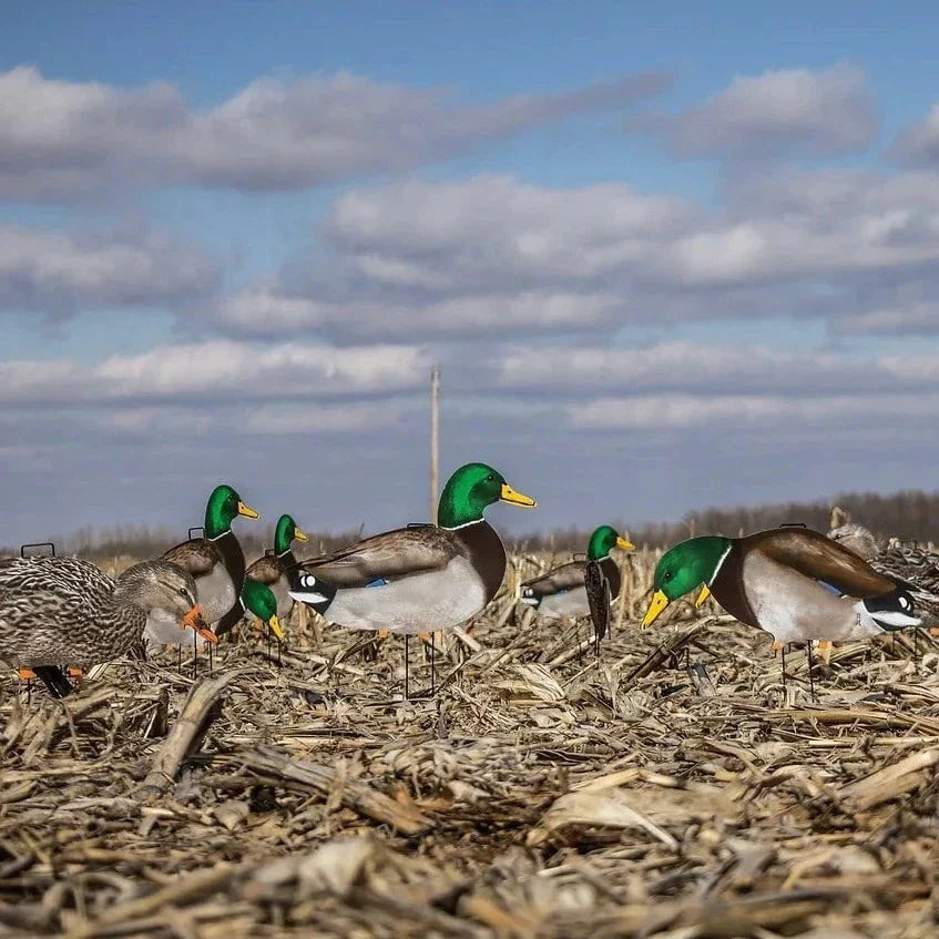 Fully Flocked Mallard Silhouettes silhouettes