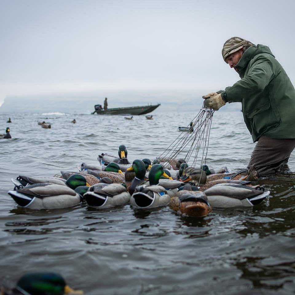 Mallard Floaters Floaters
