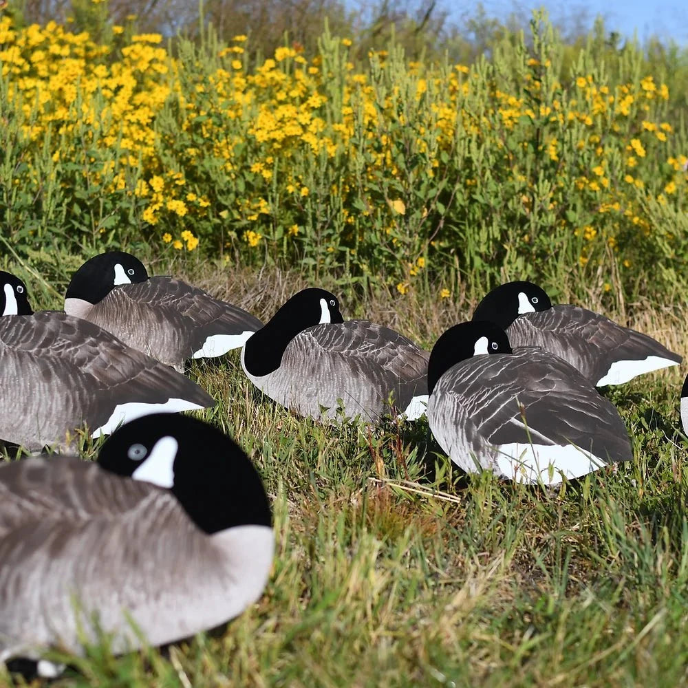Flocked Sleeper Canada Goose Silhouettes silhouettes