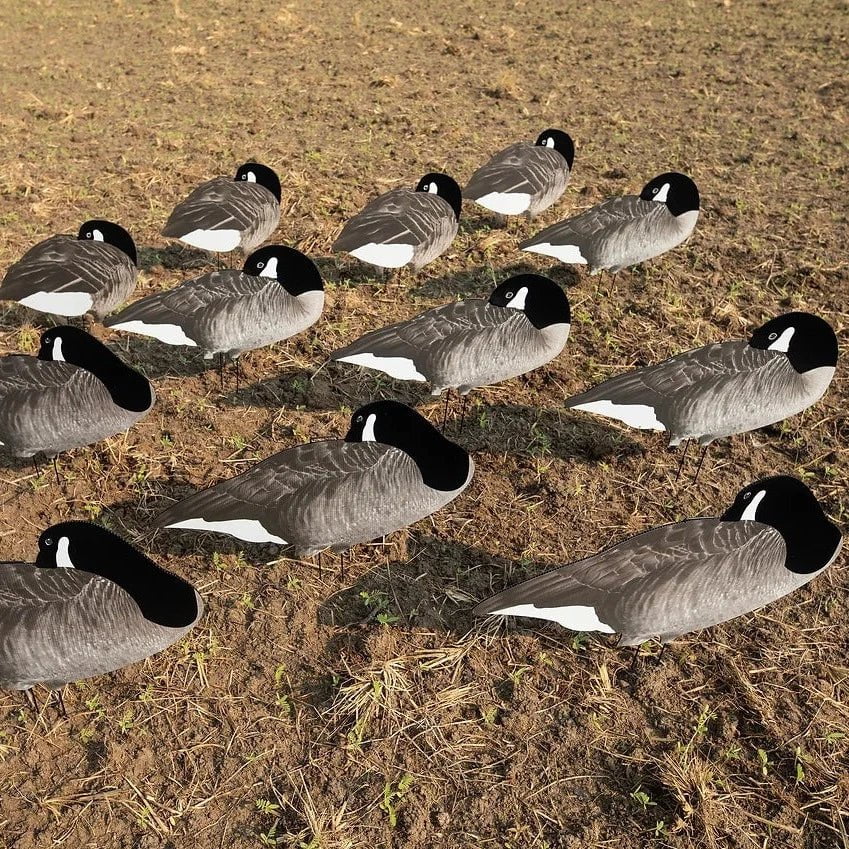 Flocked Sleeper Canada Goose Silhouettes silhouettes