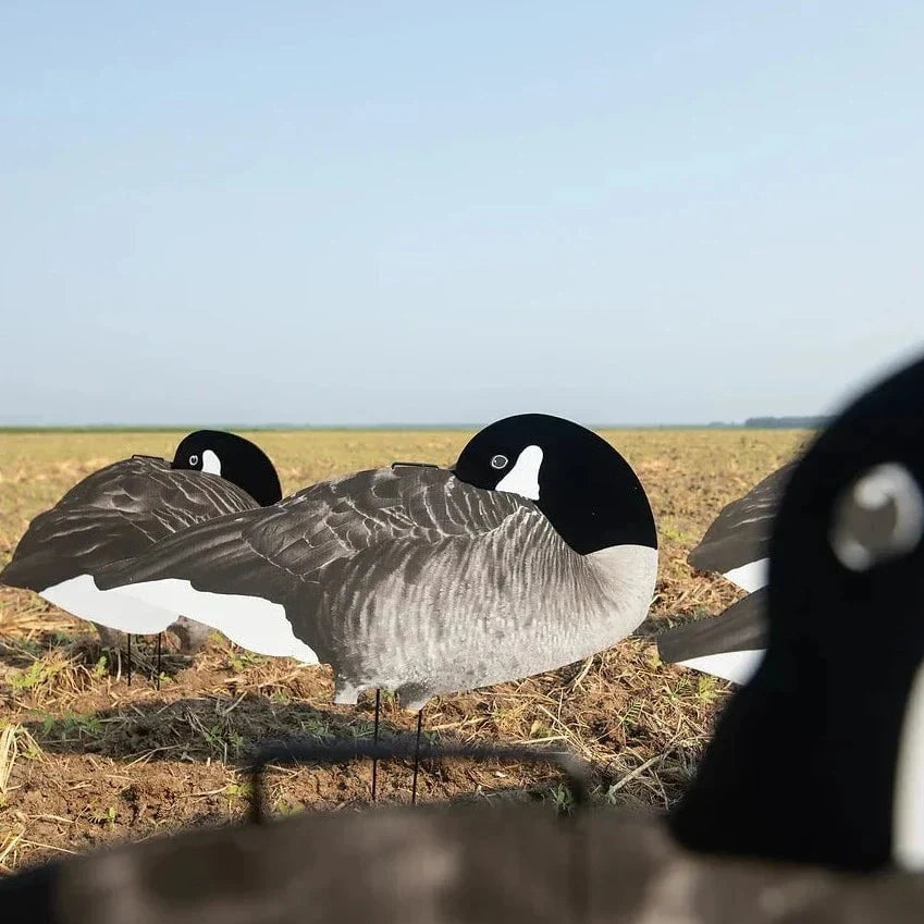 Flocked Sleeper Canada Goose Silhouettes silhouettes