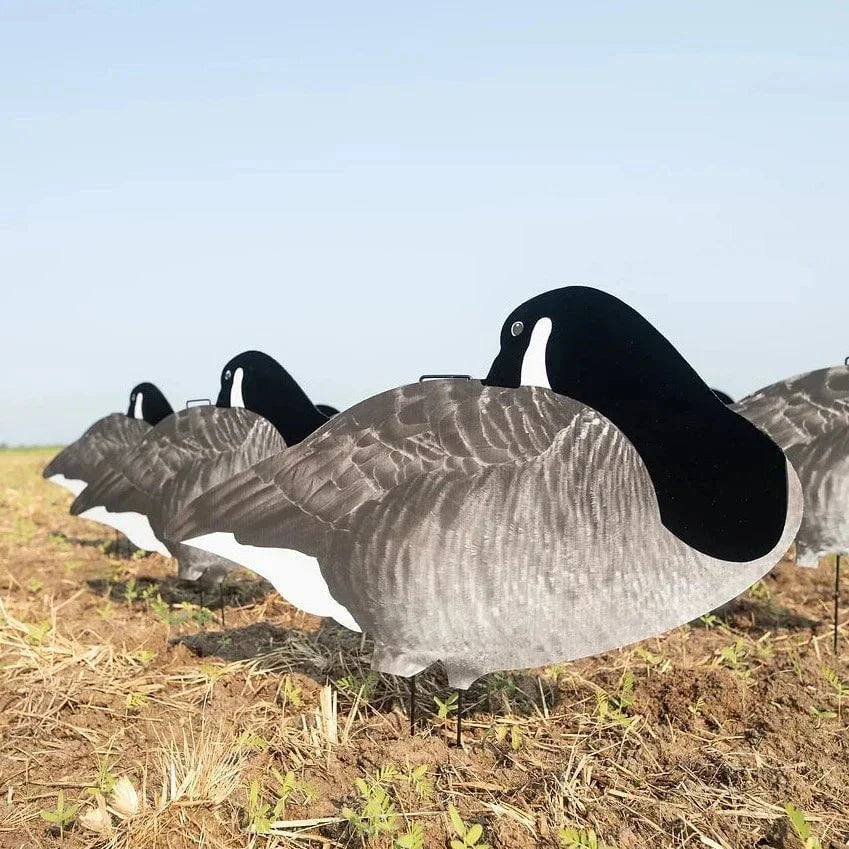 Flocked Sleeper Canada Goose Silhouettes silhouettes