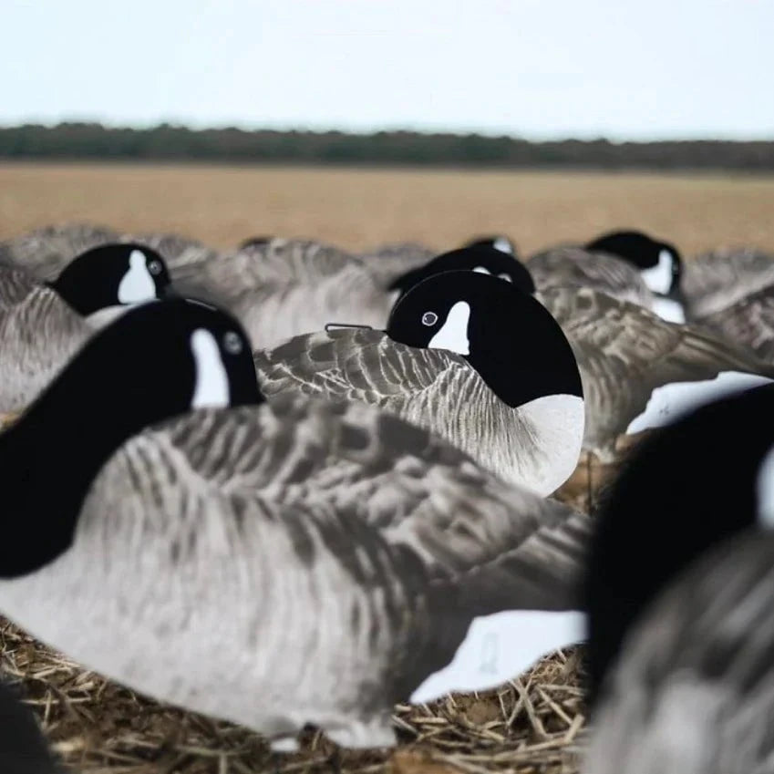 Flocked Sleeper Canada Goose Silhouettes silhouettes
