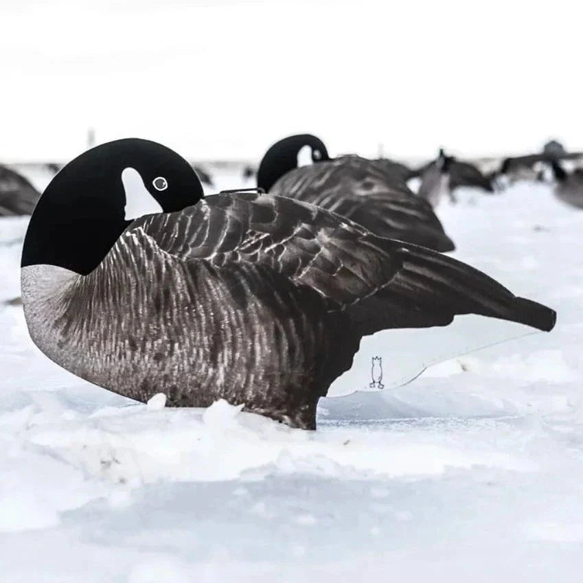 Flocked Sleeper Canada Goose Silhouettes silhouettes