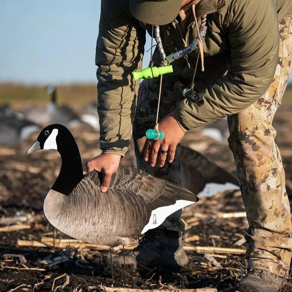 Fully Flocked Canada Goose Silhouettes silhouettes