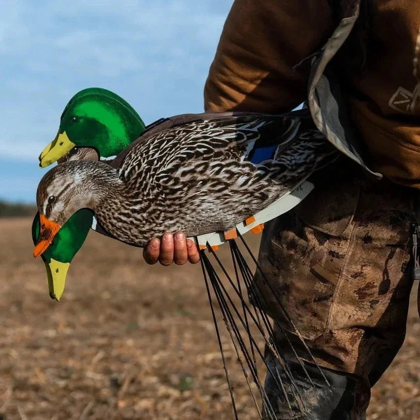 Mallard Silhouettes silhouettes
