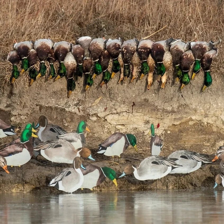 Mallard Silhouettes silhouettes