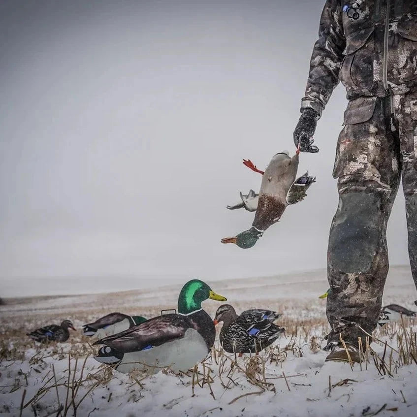 Mallard Silhouettes silhouettes