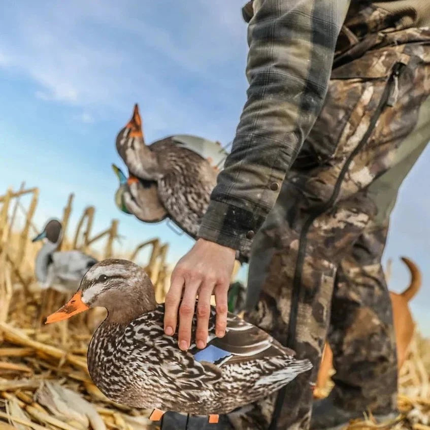 Mallard Silhouettes silhouettes