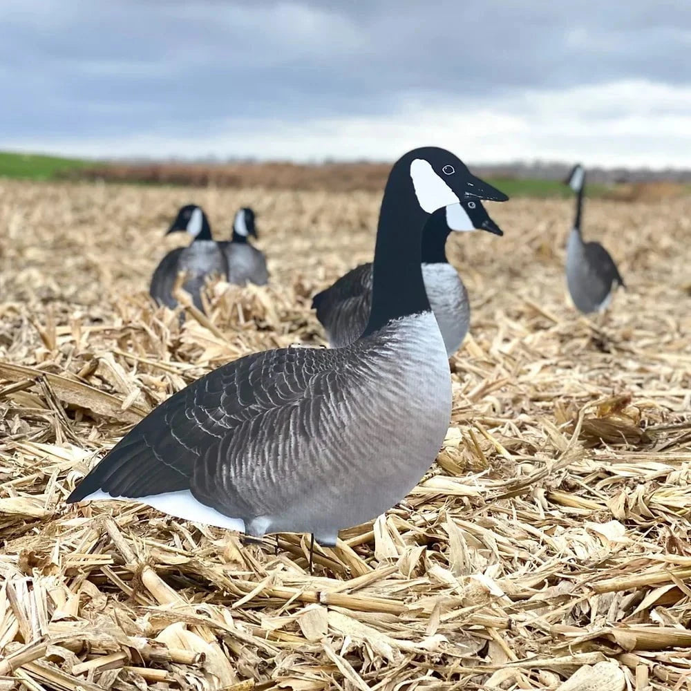 Alternate Canada Goose Silhouettes silhouettes