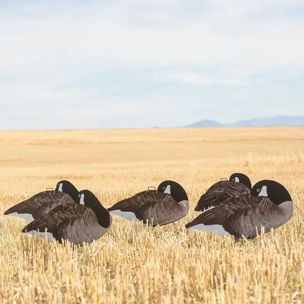Sleeper Canada Goose Silhouettes silhouettes 1 dz