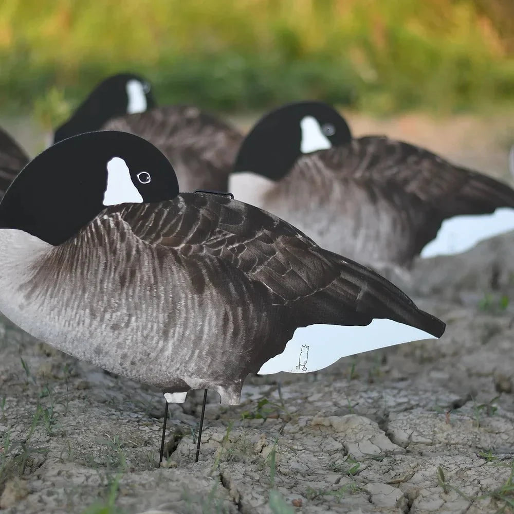 Sleeper Canada Goose Silhouettes silhouettes