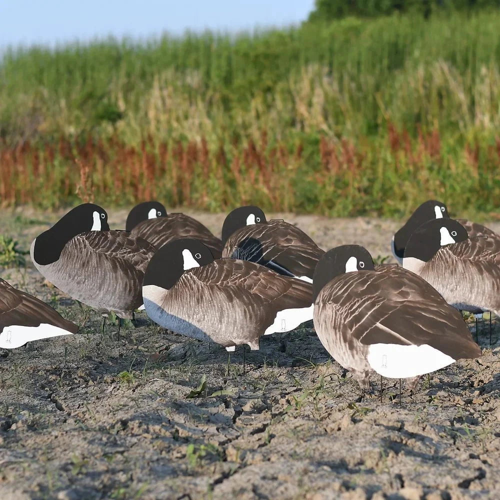 Sleeper Canada Goose Silhouettes silhouettes