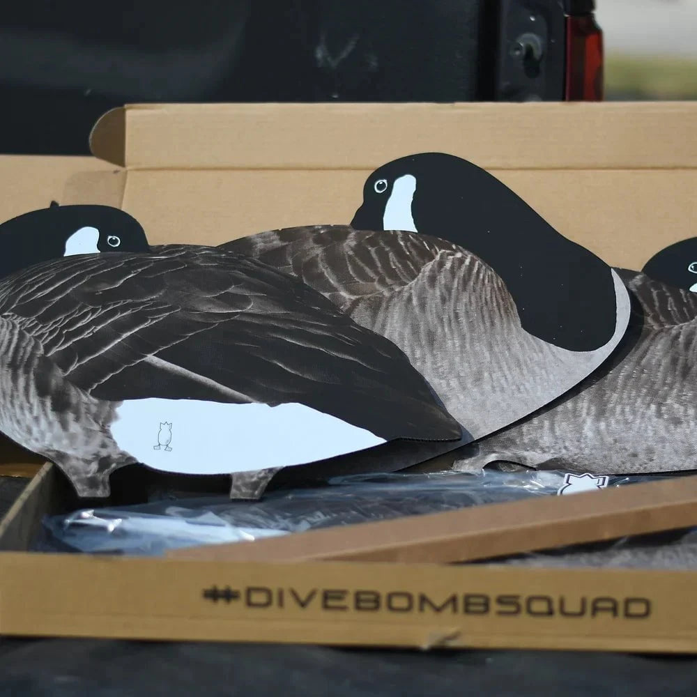 Sleeper Canada Goose Silhouettes silhouettes