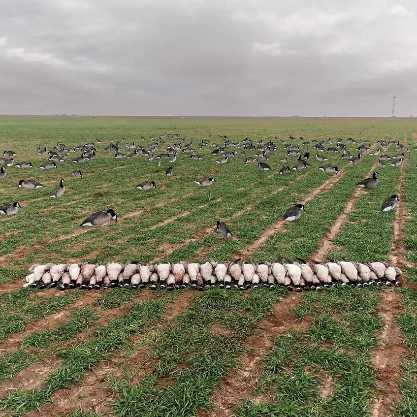 Flocked Canada Goose Silhouettes silhouettes