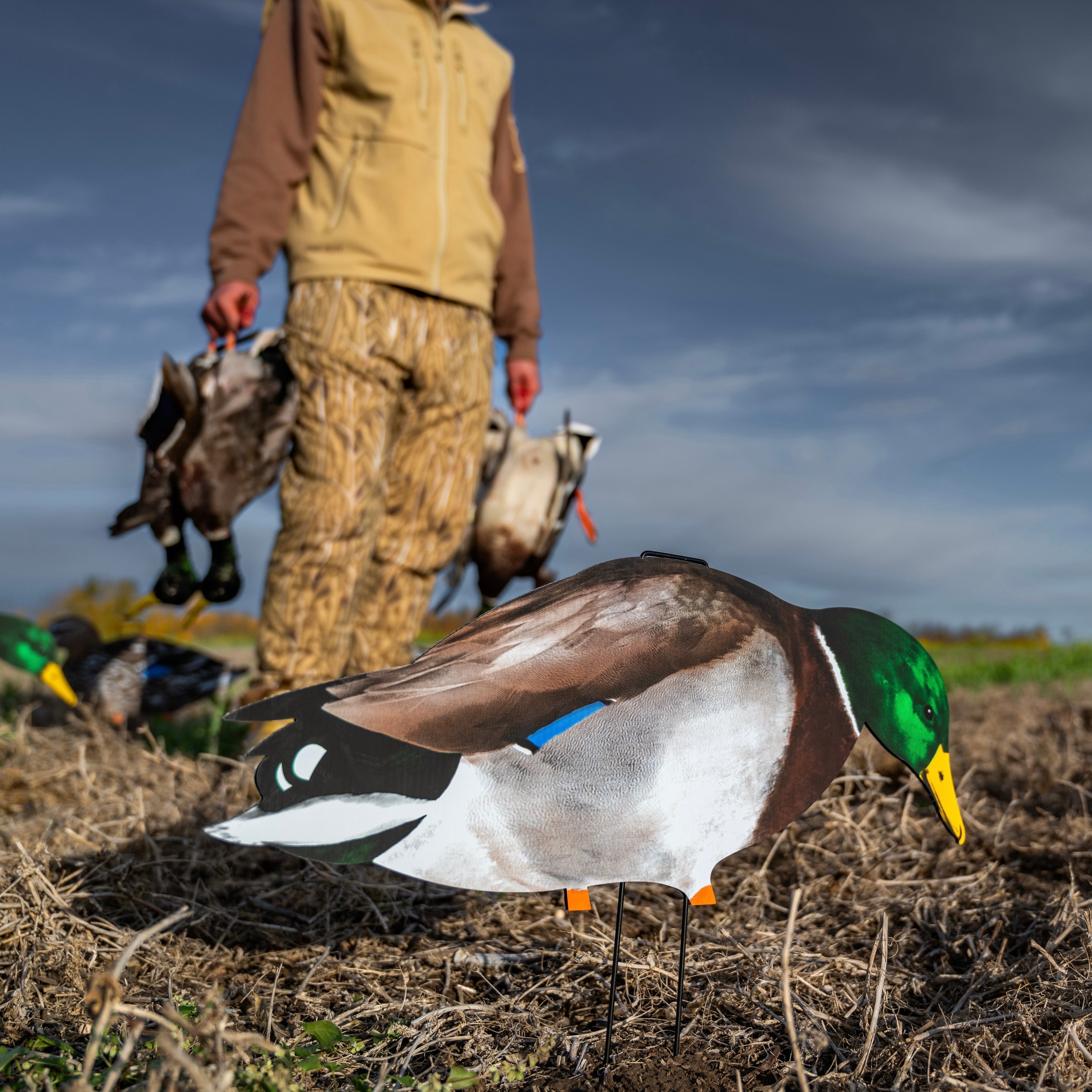 Mallard Silhouettes silhouettes